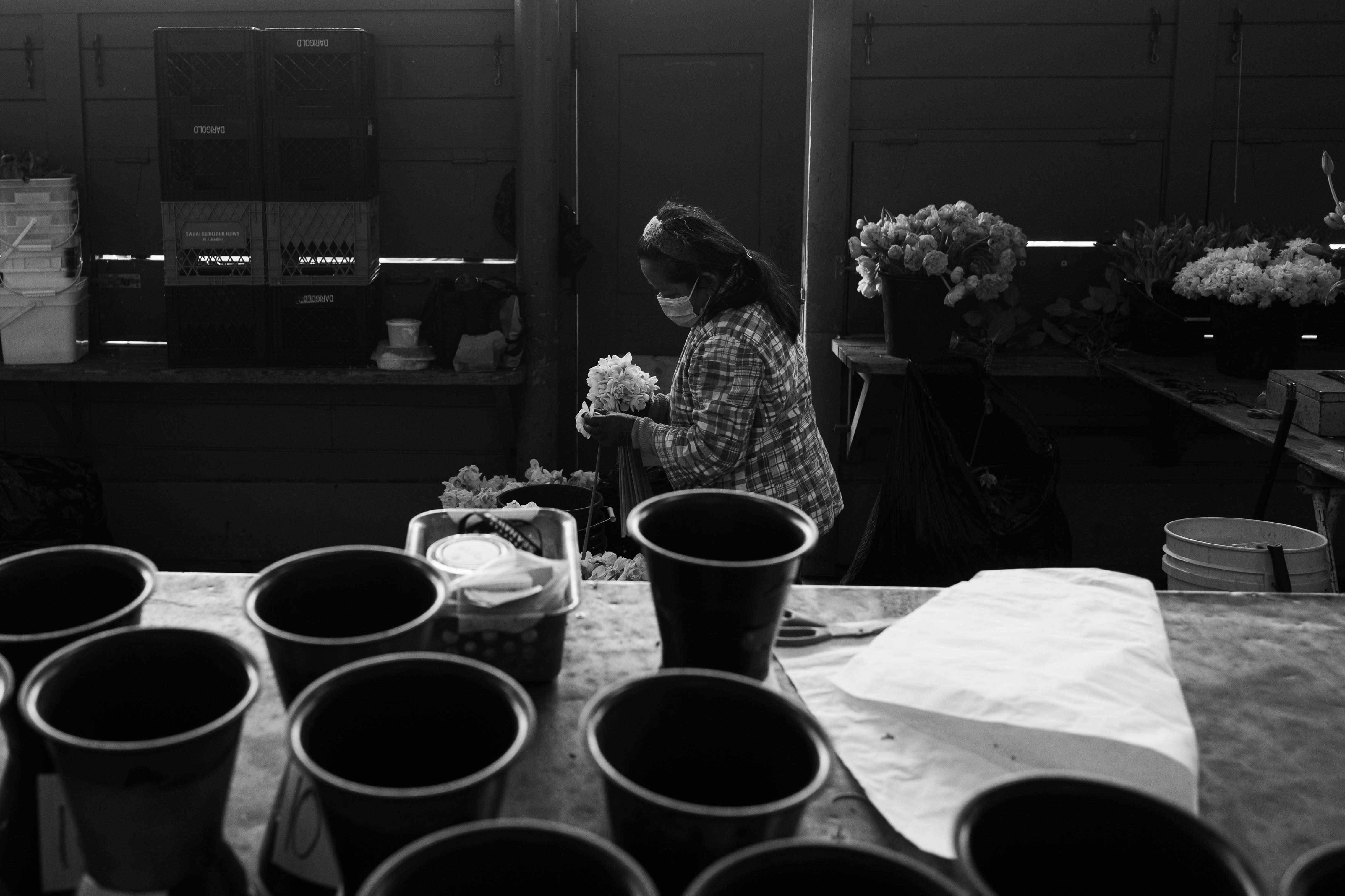blackandwhite 19