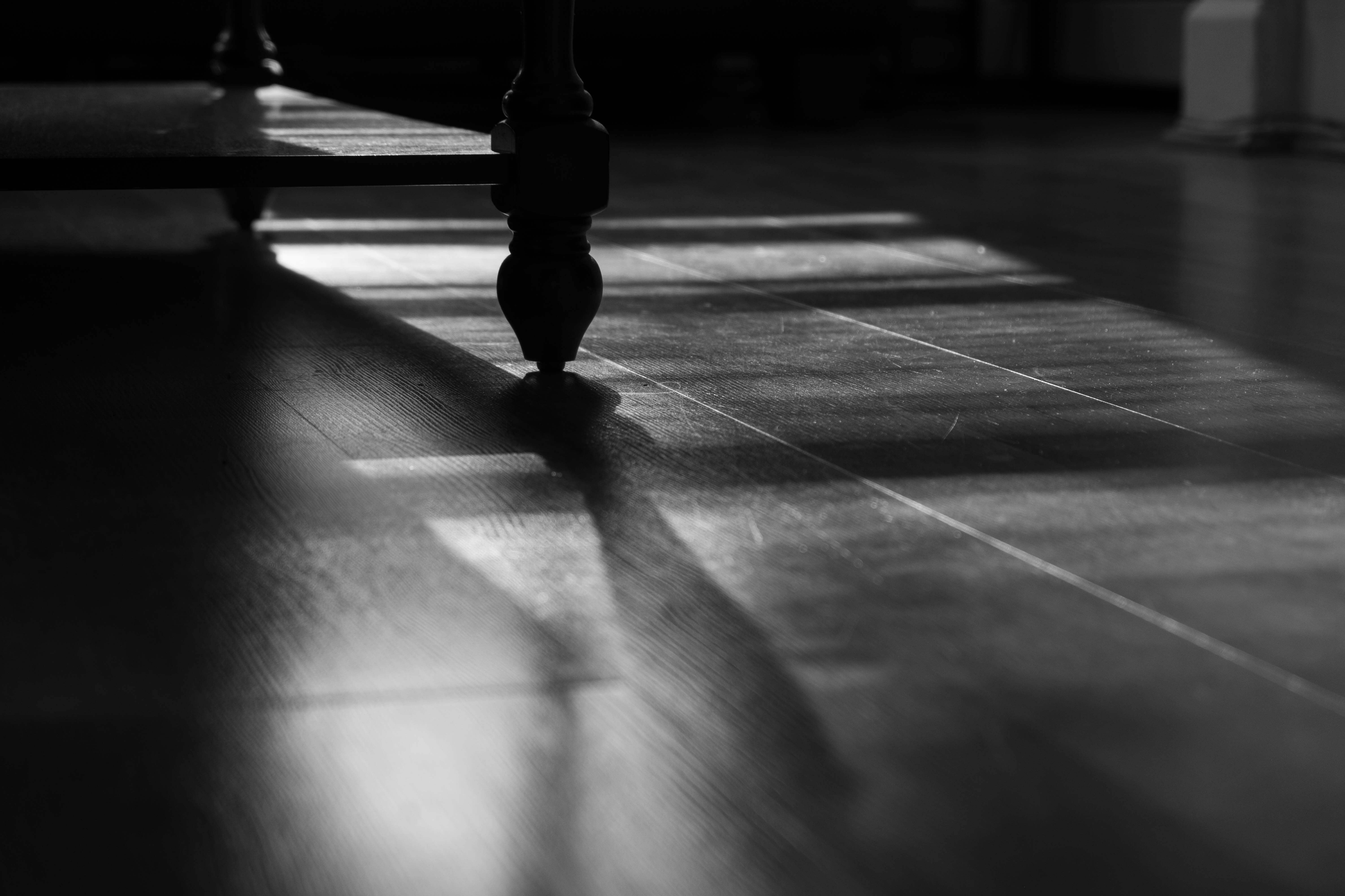 blackandwhite 1
