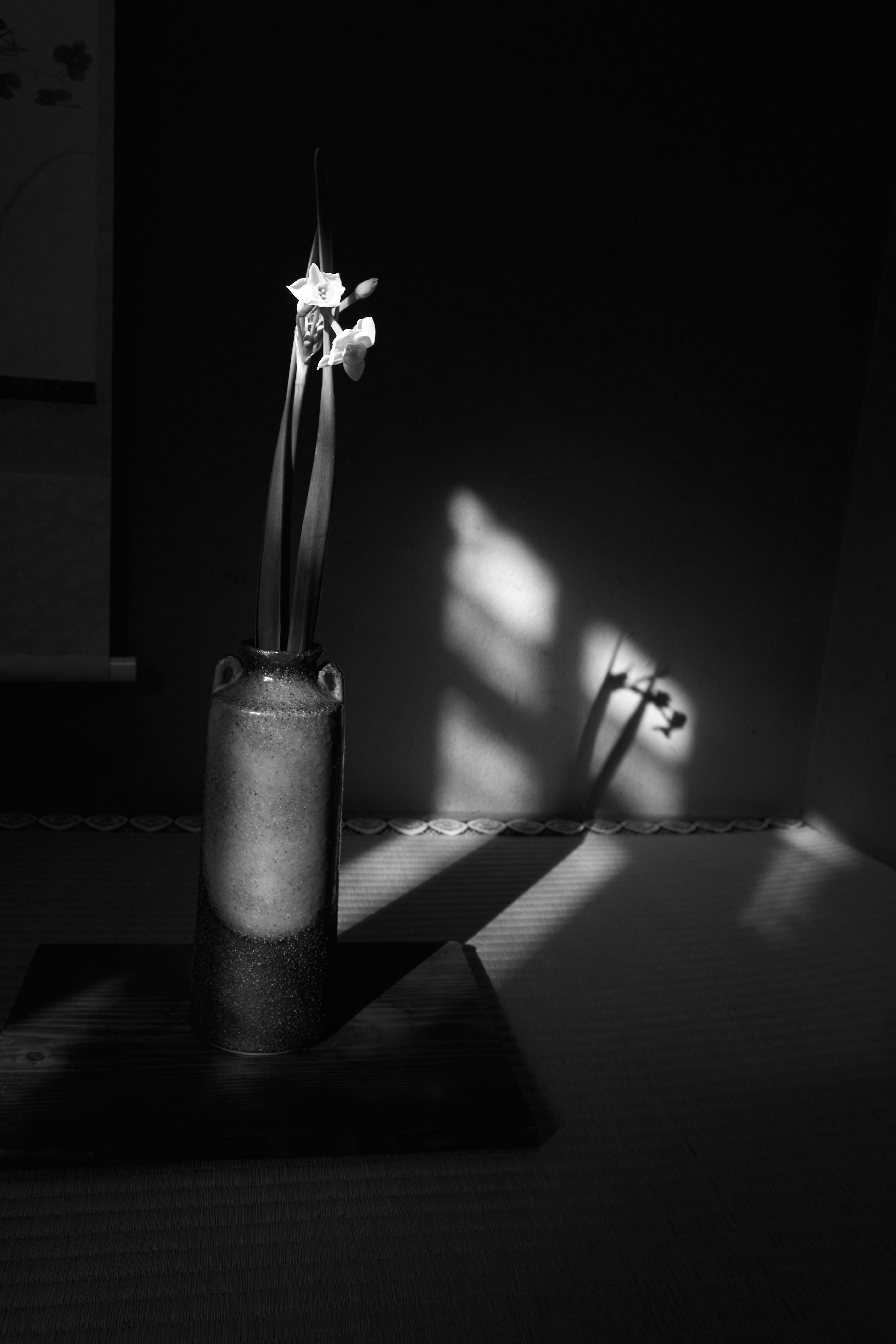 blackandwhite 5