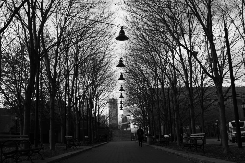 blackandwhite 5